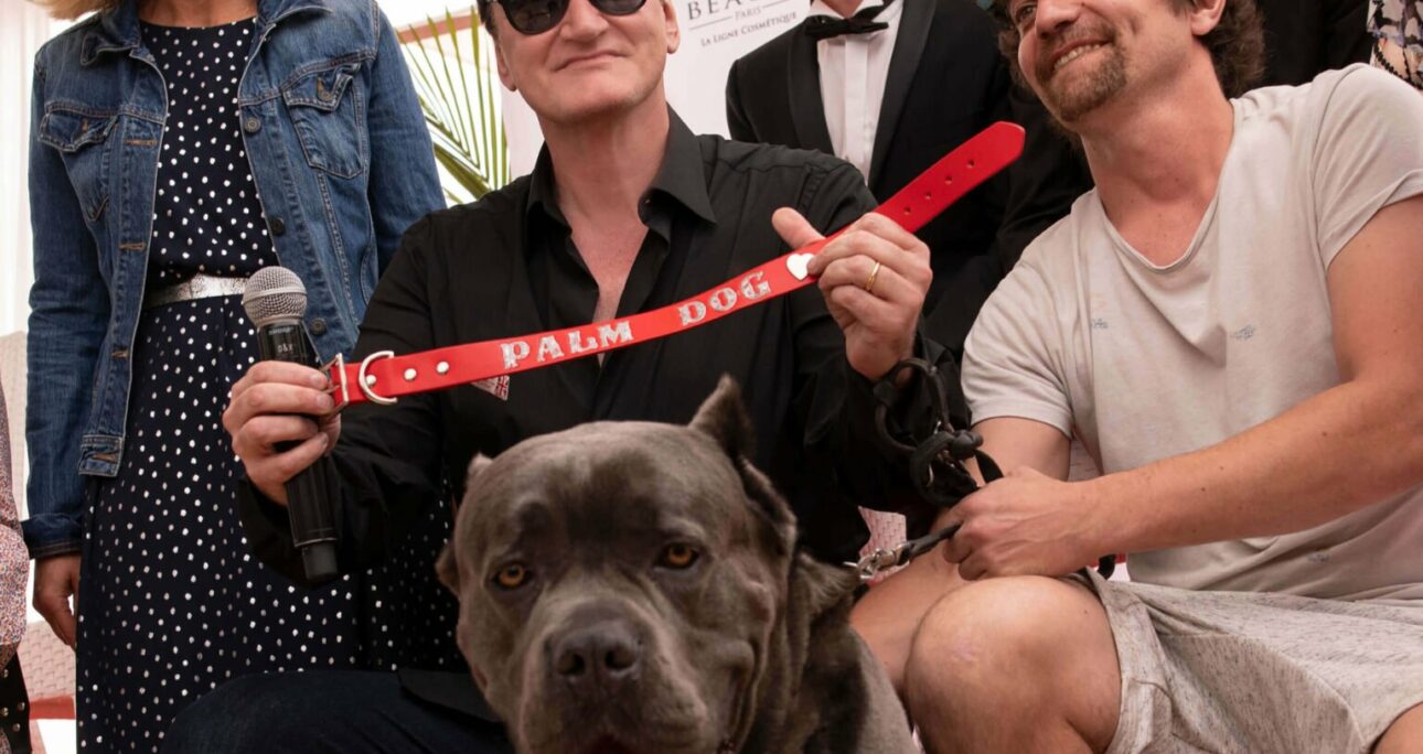 Palm Dog Wamiz 2021 : hommage à nos amis les chiens ! Yoann Latouche nous dit tout !