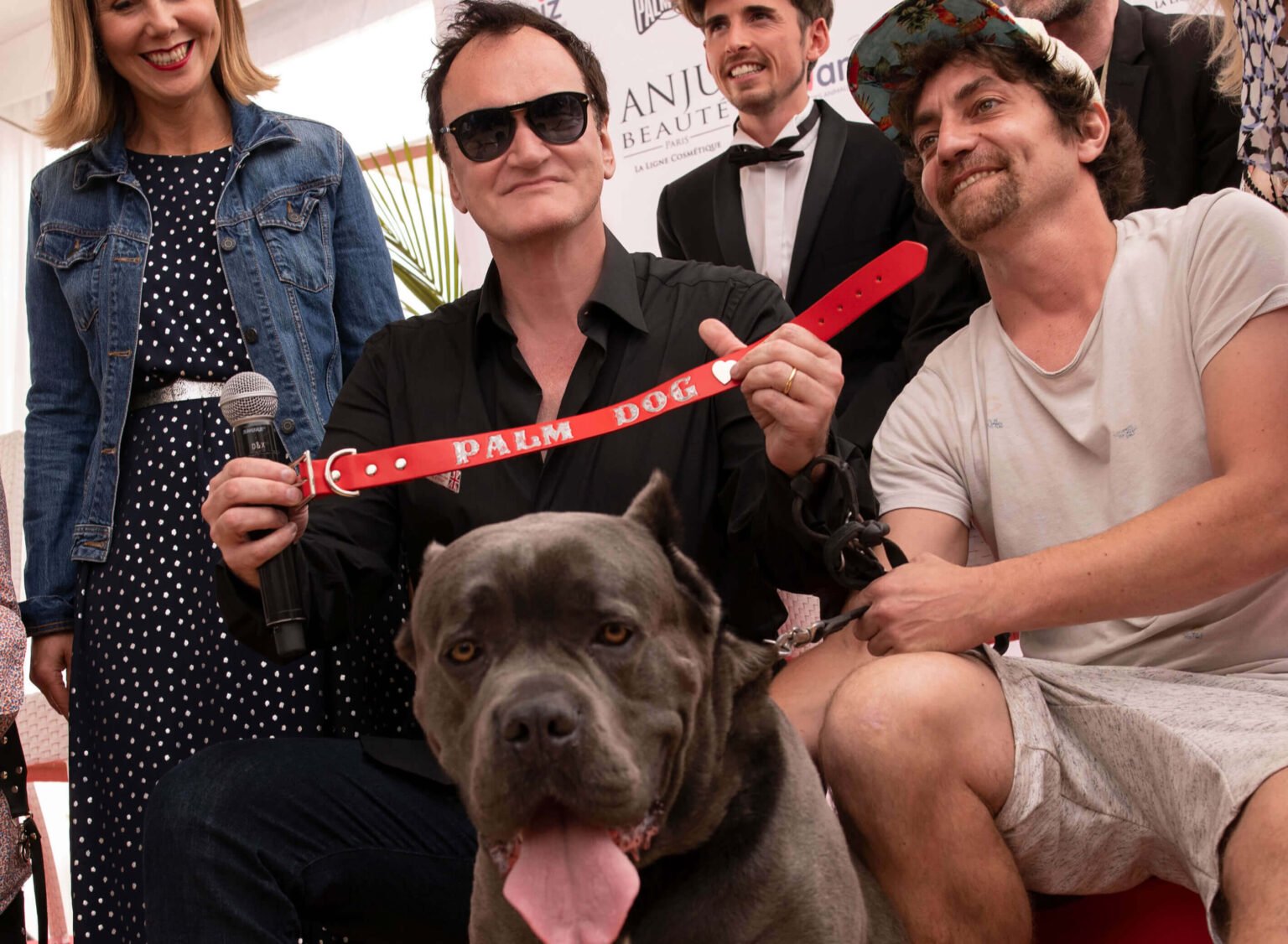 Palm Dog Wamiz 2021 : hommage à nos amis les chiens ! Yoann Latouche nous dit tout !