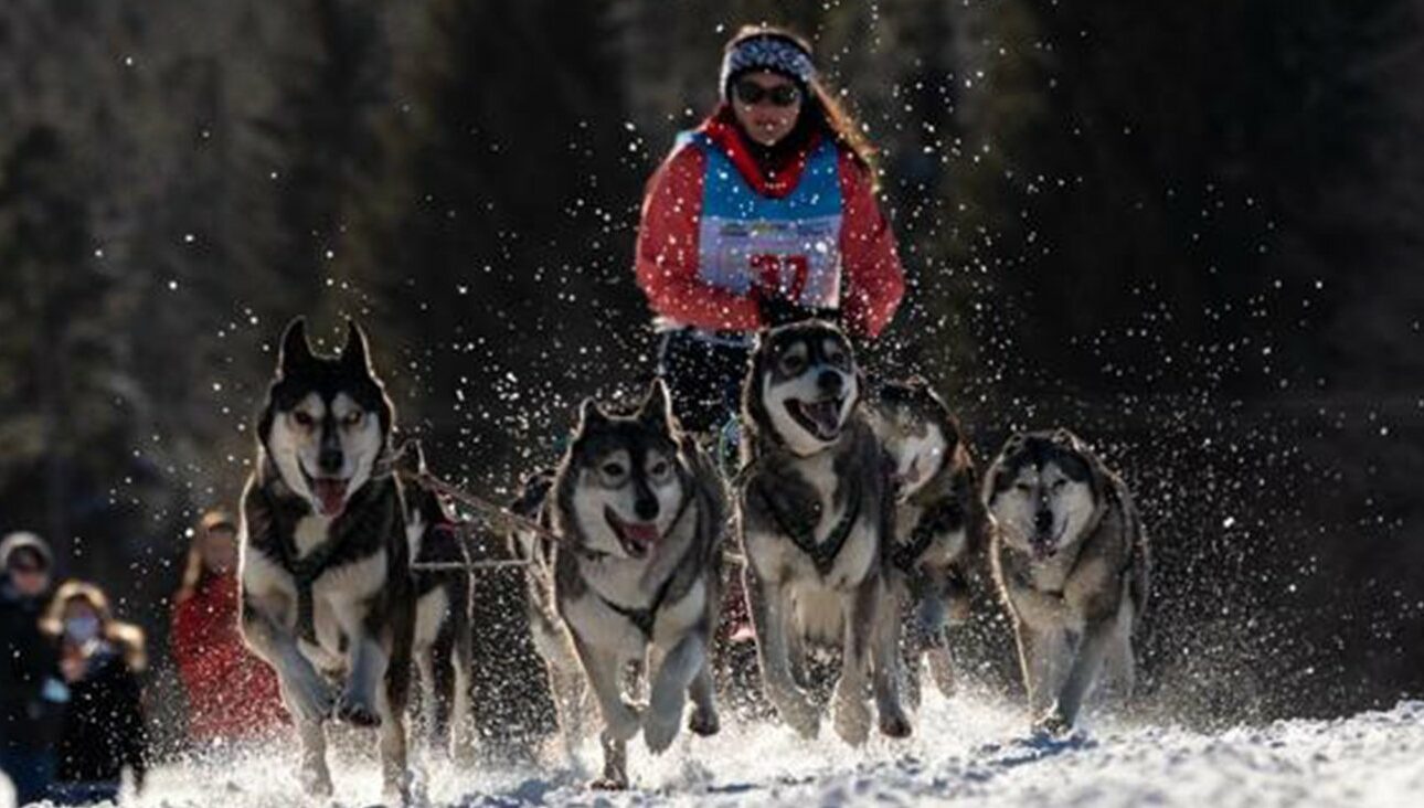 La Lekkarod avec Valérie Maumon : le mushing du cœur