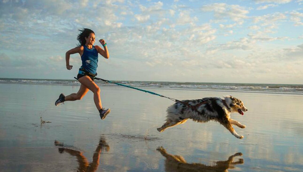 Canicross : courir avec son chien pour un plaisir partagé