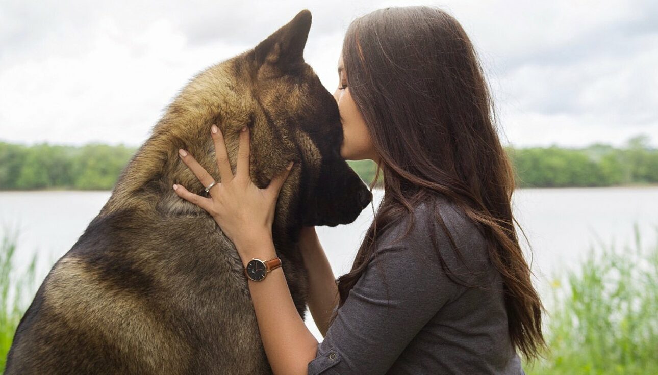 Devenir chien influenceur avec 92 800 abonnés en 5 ans