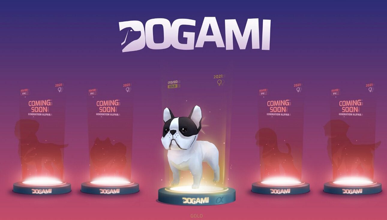 Petaverse : les chiens envahissent le metaverse