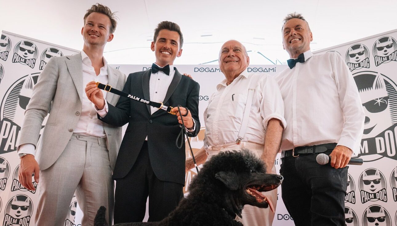 La caniche argenté Beast remporte la Palm Dog by Dogami 2022