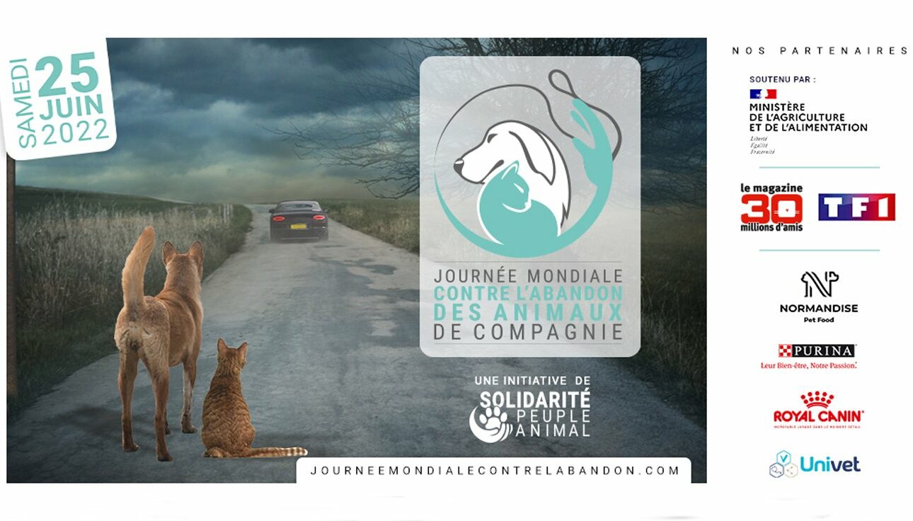 25 juin 2022 : Journée mondiale contre l’abandon des animaux de compagnie