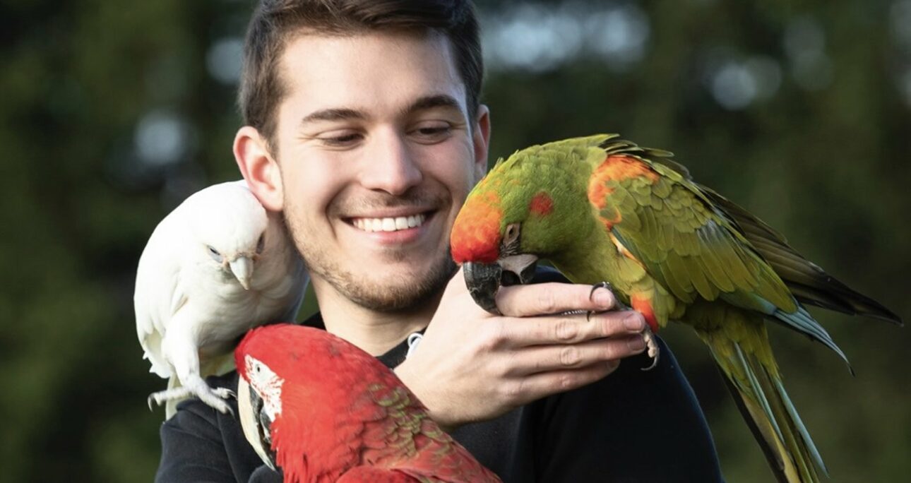 Nouveaux animaux de compagnie : comment prendre soin d’un NAC ?