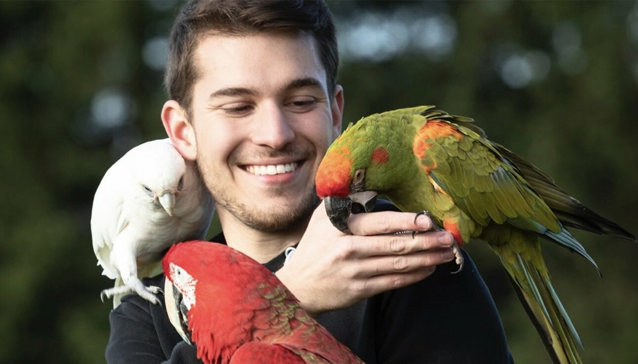 Nouveaux animaux de compagnie : comment prendre soin d’un NAC ?