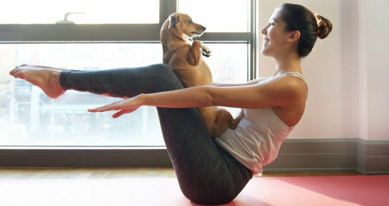 Yoga avec son chien : les mille vertus du doga