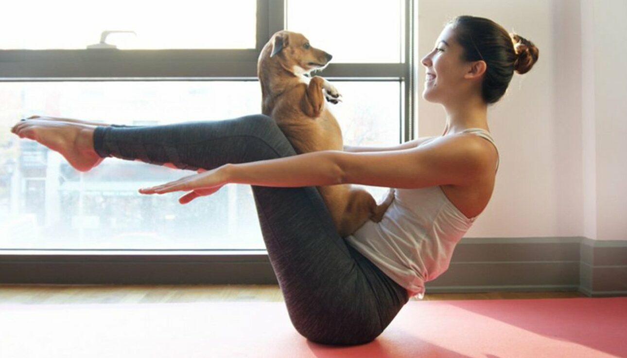 Yoga avec son chien : les mille vertus du doga
