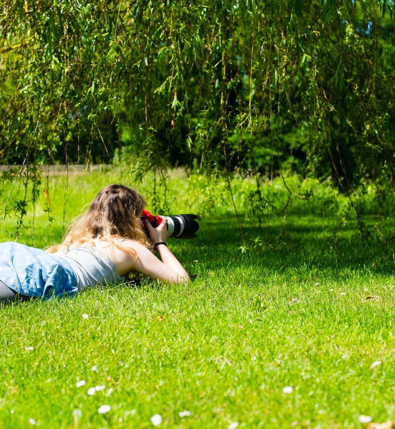 Photo animalière : les secrets d’experts de l’agence YLG