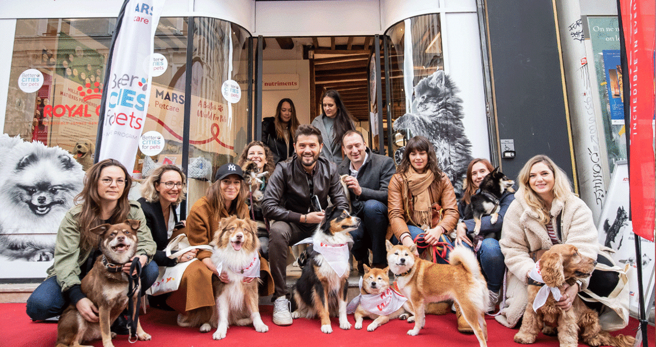 « La Marche solidaire de l’Animal en Ville » : retour sur un évènement aux valeurs fortes, en plein cœur de Paris