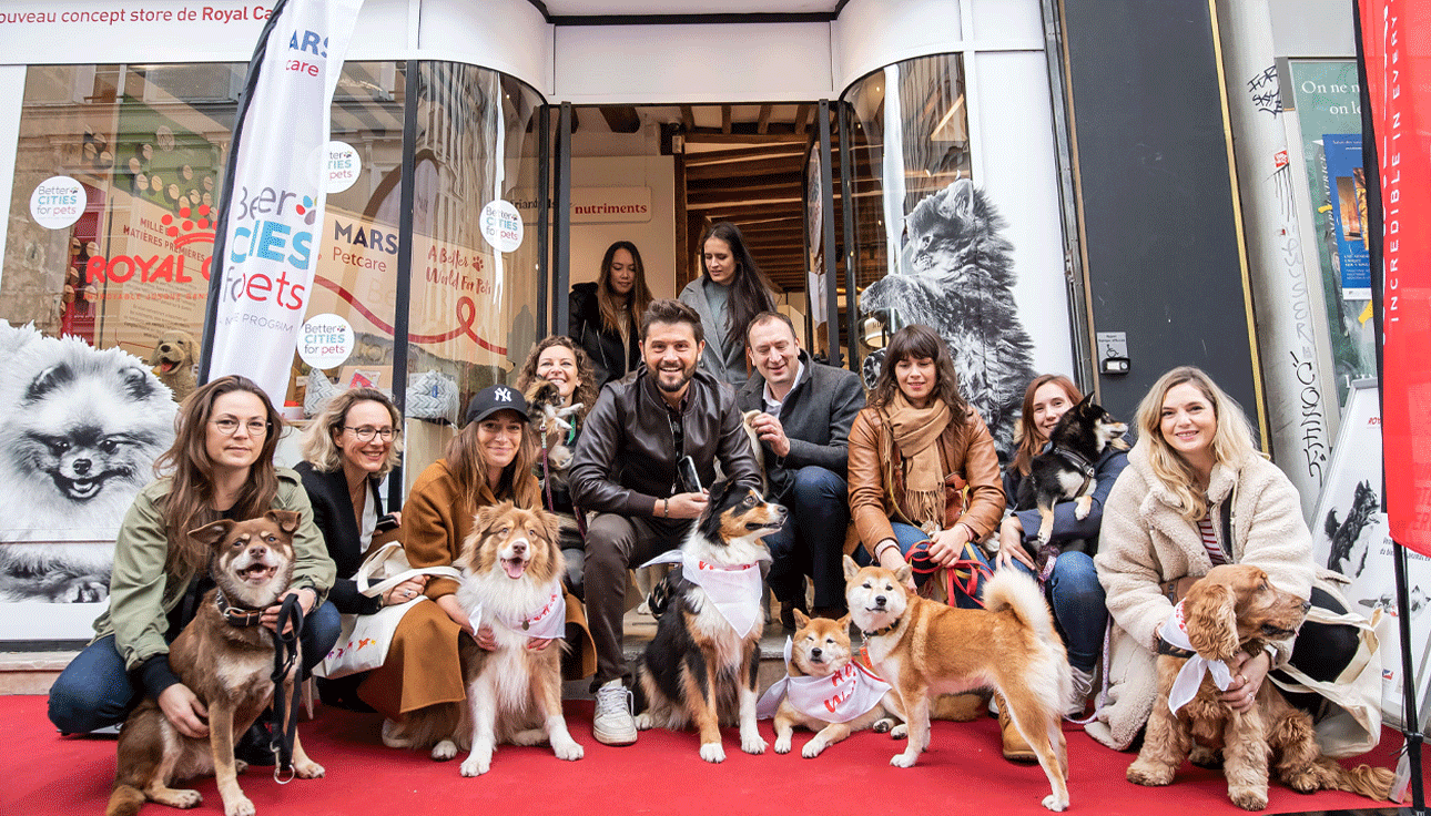 « La Marche solidaire de l’Animal en Ville » : retour sur un évènement aux valeurs fortes, en plein cœur de Paris
