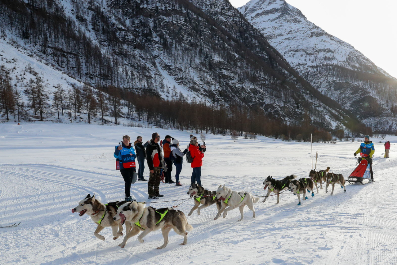 Trophée Royal Canin de La Grande Odyssée VVF 2023 : souvenirs d’un beau rêve blanc
