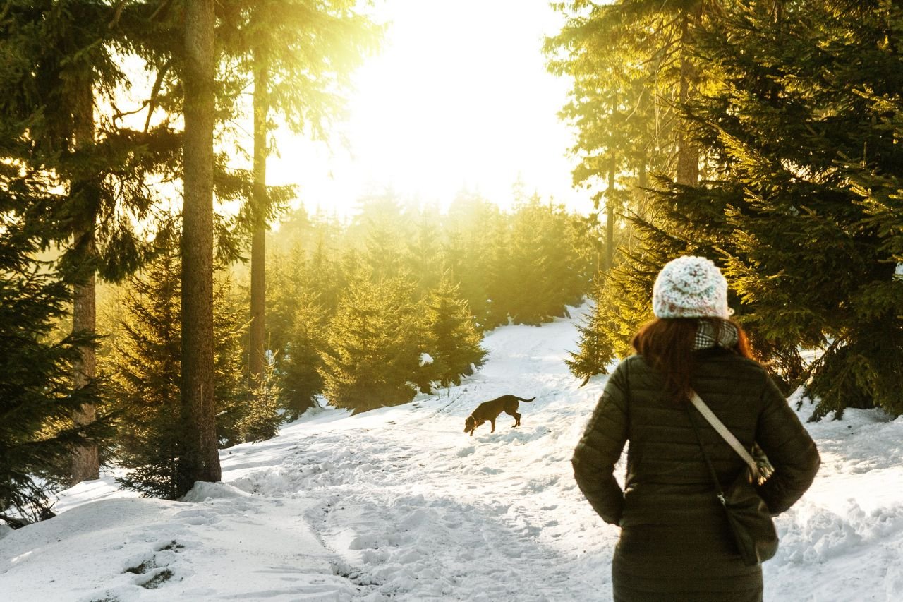 Nos conseils pour protéger son animal de compagnie contre le froid