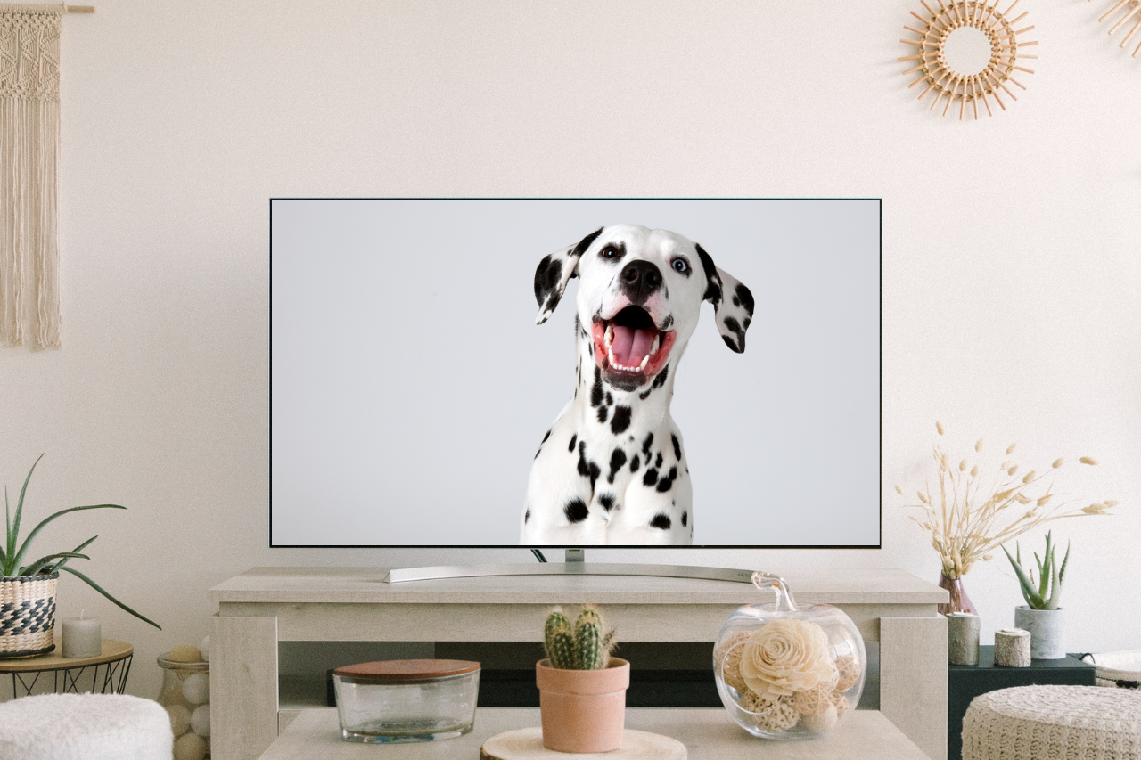 10 publicités avec des animaux iconiques qui ont marqué notre mémoire
