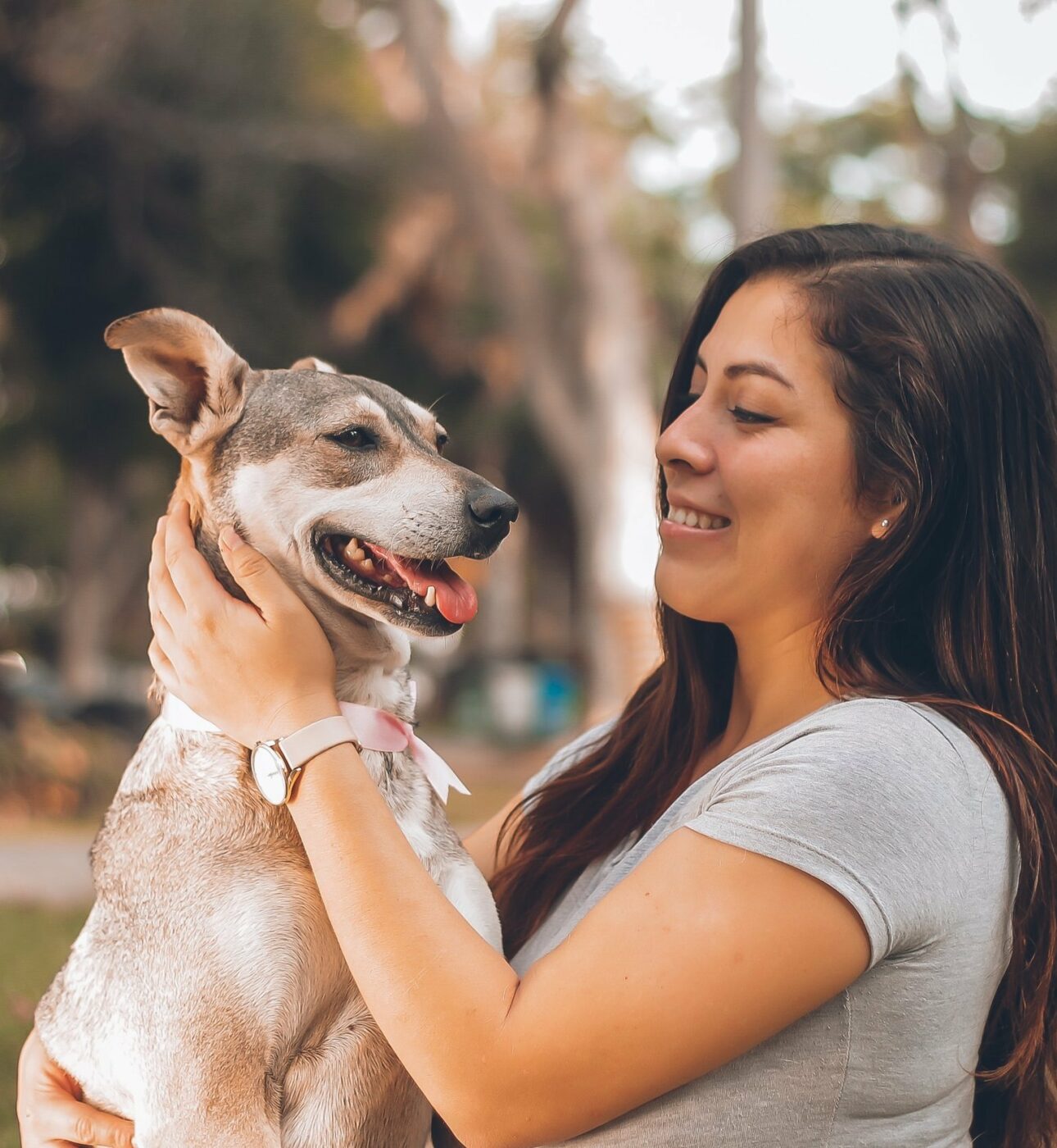 Pets Genius, la plateforme incontournable pour tester gratuitement des produits de qualité et améliorer la vie quotidienne de votre animal
