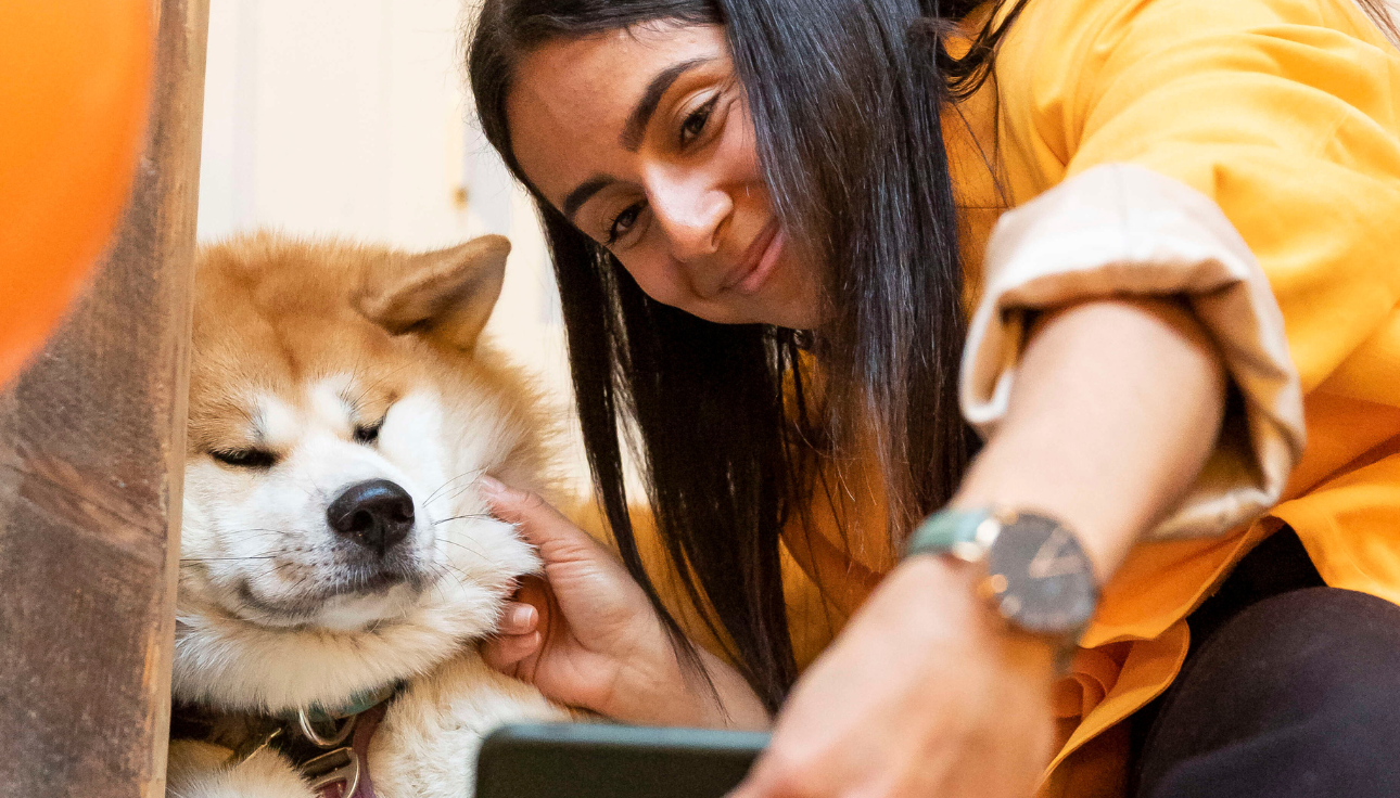 Pourquoi et comment utiliser un gilet relaxant pour son chien ? Zoom sur ThunderShirt