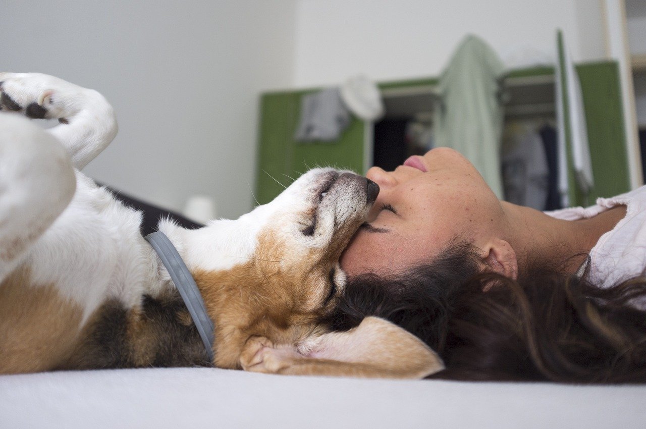 Les 10 commandements du maître d’animaux de compagnie responsable