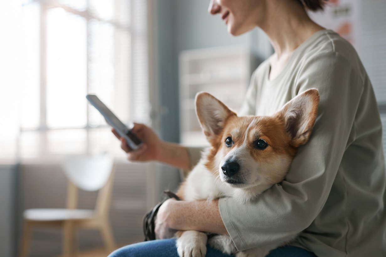 Pour ses 20 ans, Santévet lance le Pet Tech Observatory pour valoriser et fédérer un secteur d’avenir