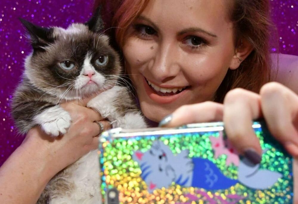 Grumpy Cat et autres animaux stars d’internet : de simples bêtes de foire ?