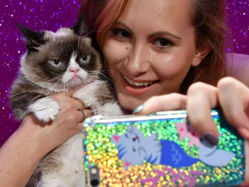 Grumpy Cat et autres animaux stars d’internet : de simples bêtes de foire ?