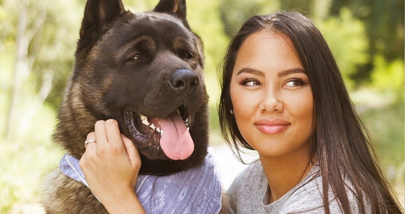 Que signifie un casting de chien / chat ?