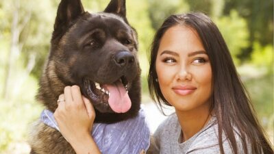 Que signifie un casting de chien / chat ?