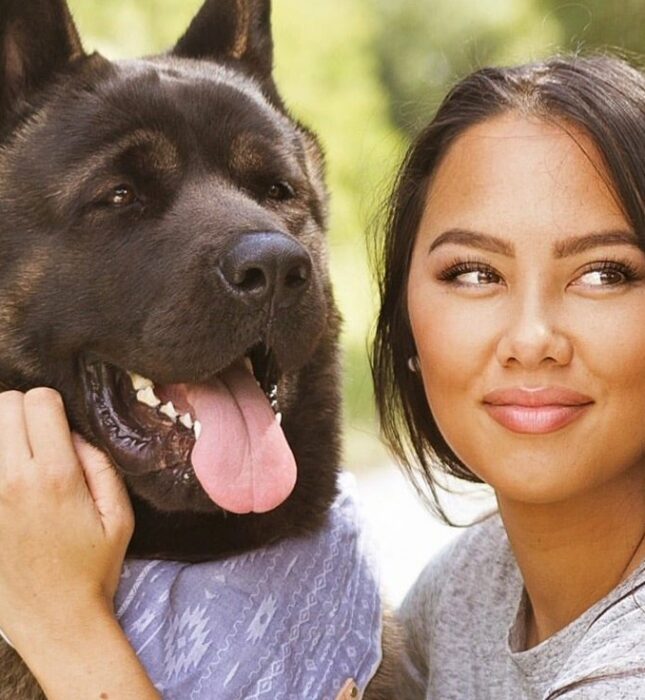 Que signifie un casting de chien / chat ?
