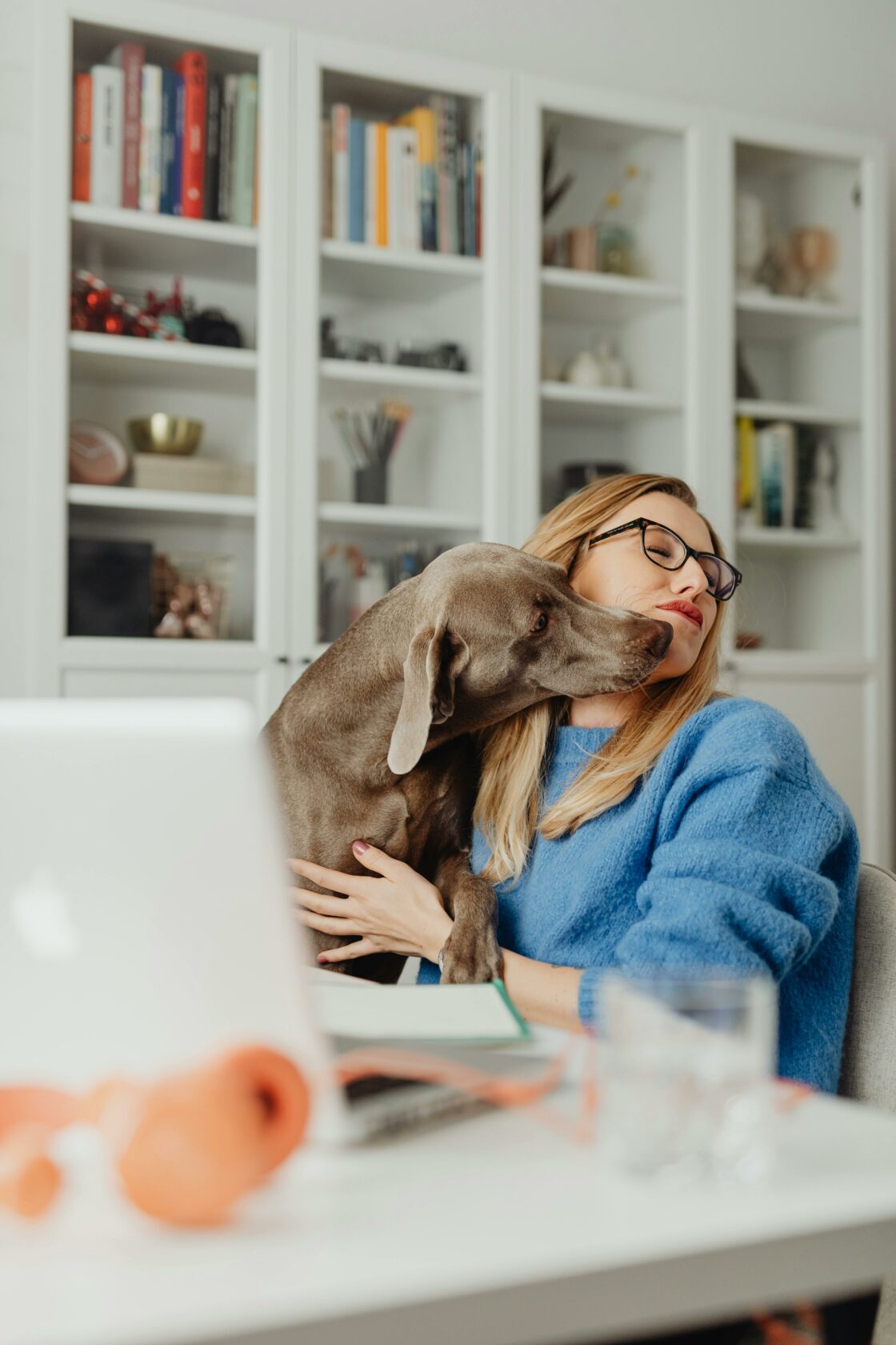 Pet@work : la clé du bien-être au travail !