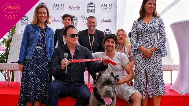 Palm Dog Wamiz 2021 : Qui succèdera à Quentin Tarantino, cette année sur La Croisette ?