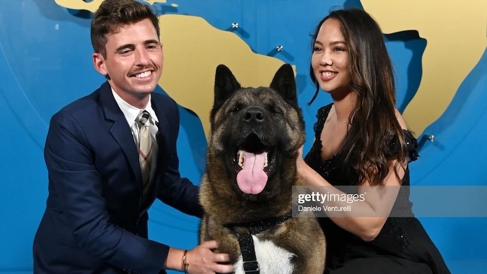 Malcolm the Akita : qui est ce chien influenceur bordelais récompensé à Cannes ?