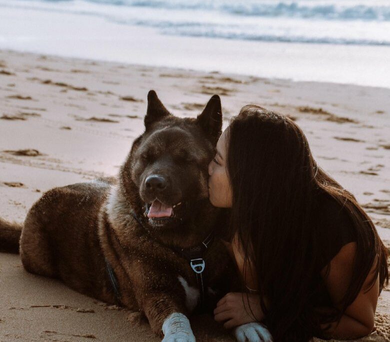 La star des réseaux sociaux, Malcolm The Akita, récompensé au World Influencers and Bloggers Awards