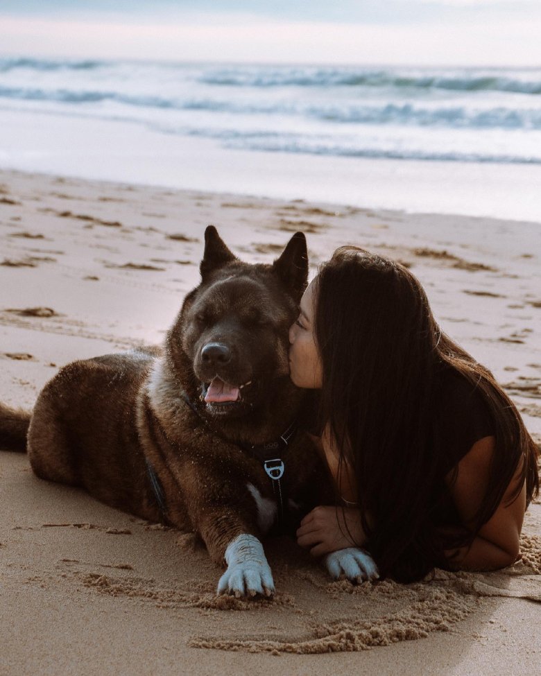 La star des réseaux sociaux, Malcolm The Akita, récompensé au World Influencers and Bloggers Awards