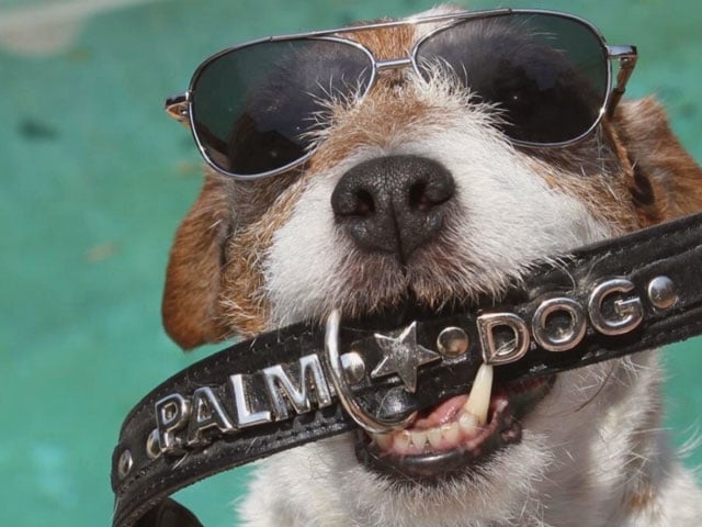 YLG : une agence d’influenceurs pas comme les autres !