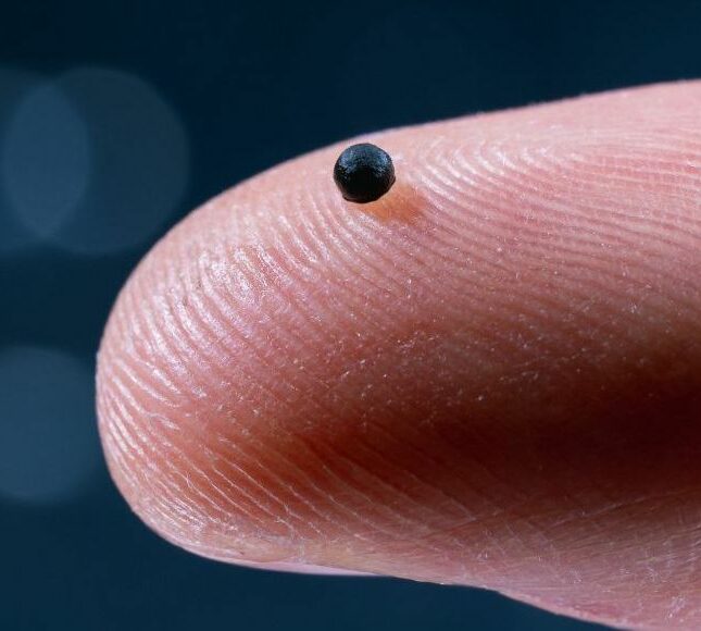 Ça bouge en sciences