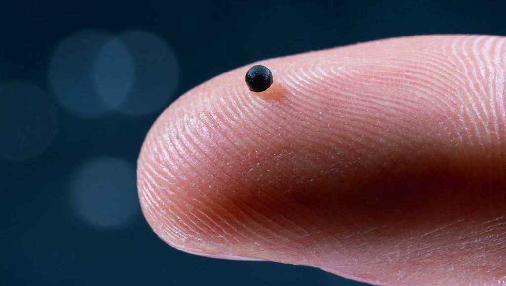 Ça bouge en sciences