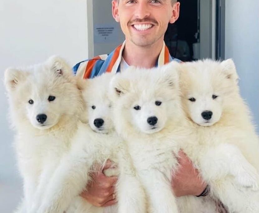 Yoann Latouche : Découvrez l’agence féline et canine du chroniqueur de C8 !