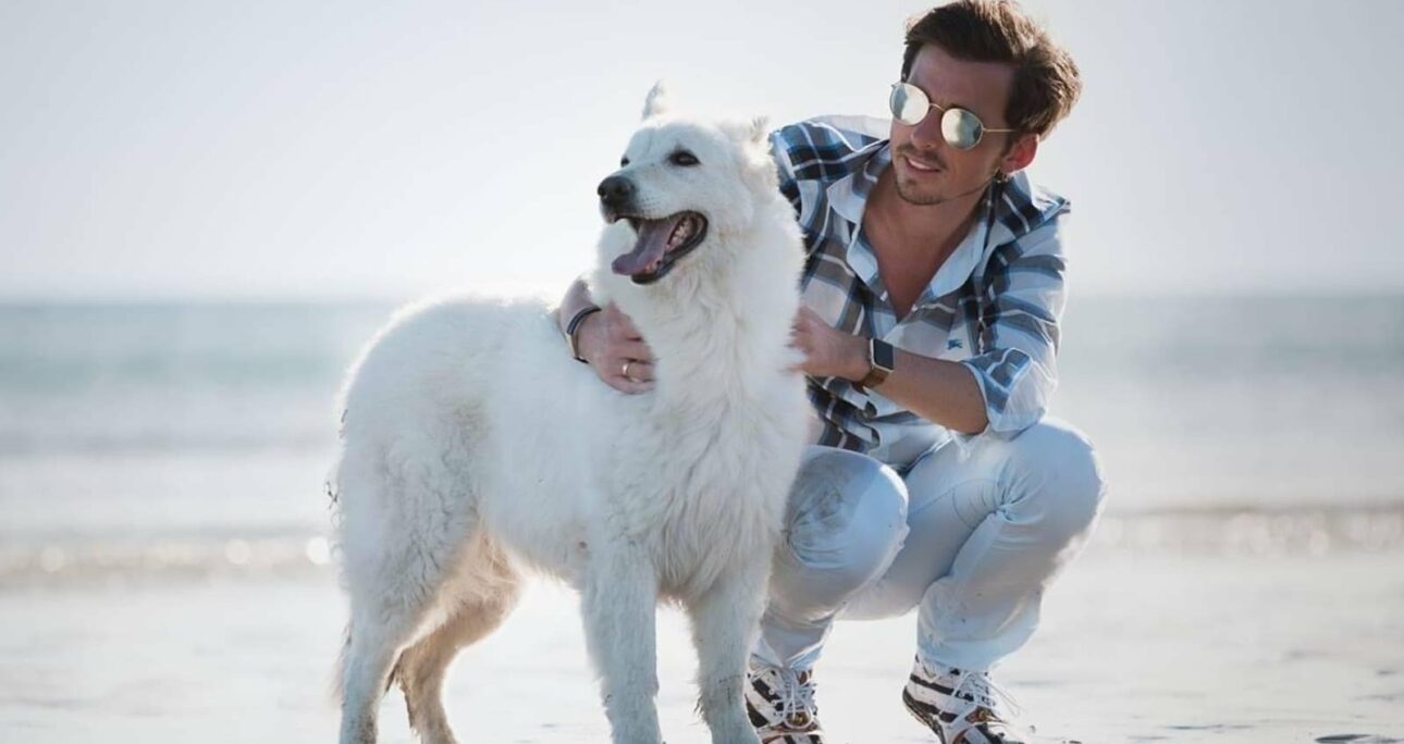 YLG, l’agence de communication 100% dédiée aux animaux