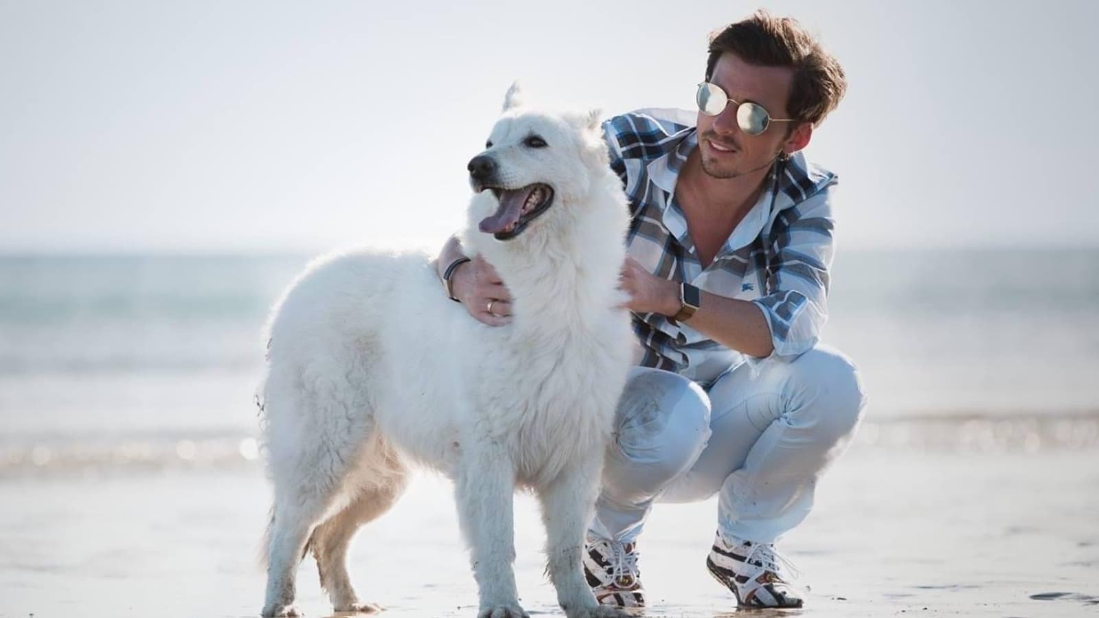 YLG, l’agence de communication 100% dédiée aux animaux