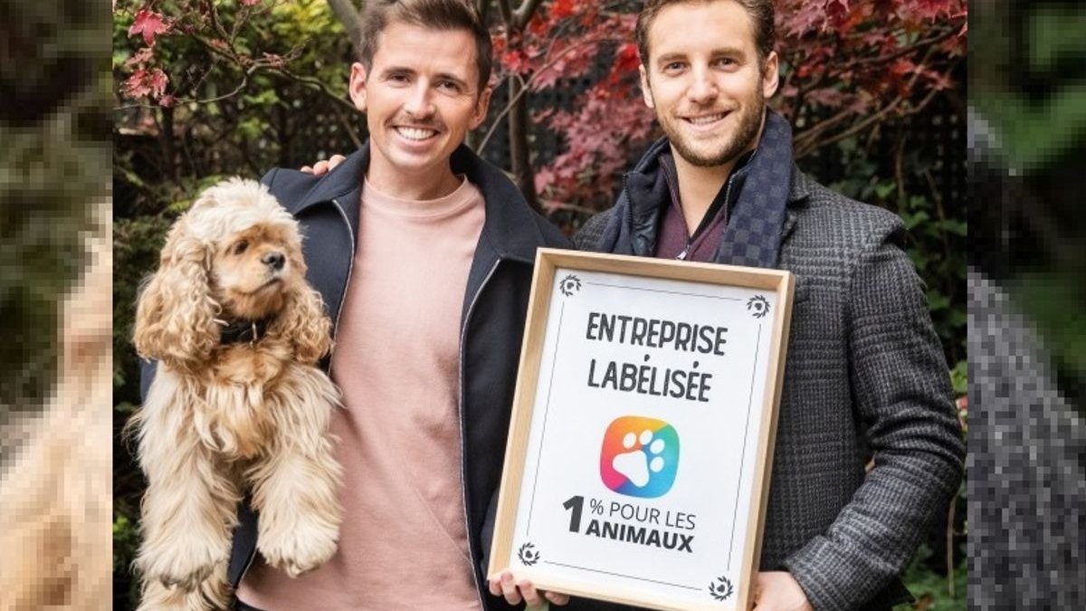 L’agence YLG, première entreprise labellisée « 1% Pour les Animaux » pour son soutien aux projets de protection animale