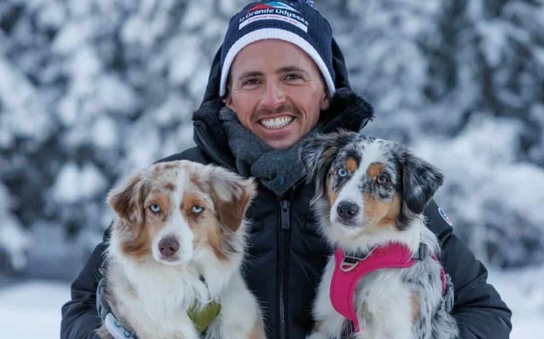 La fameuse agence de communication YLG, le 6ème sens animal.
