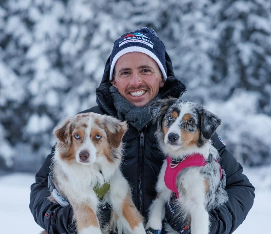 La fameuse agence de communication YLG, le 6ème sens animal.