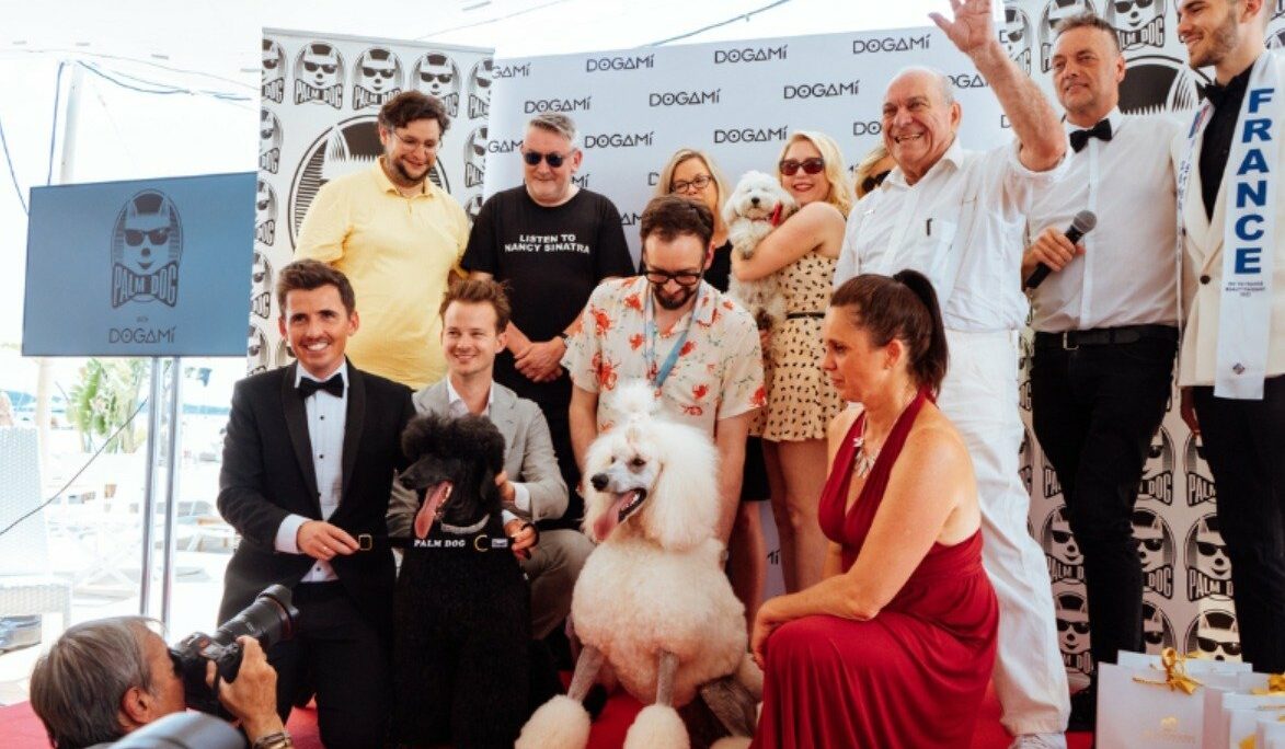 Festival de Cannes 2023 : un Vannetais remettra la Palm Dog au chien le plus incroyable du 7e art