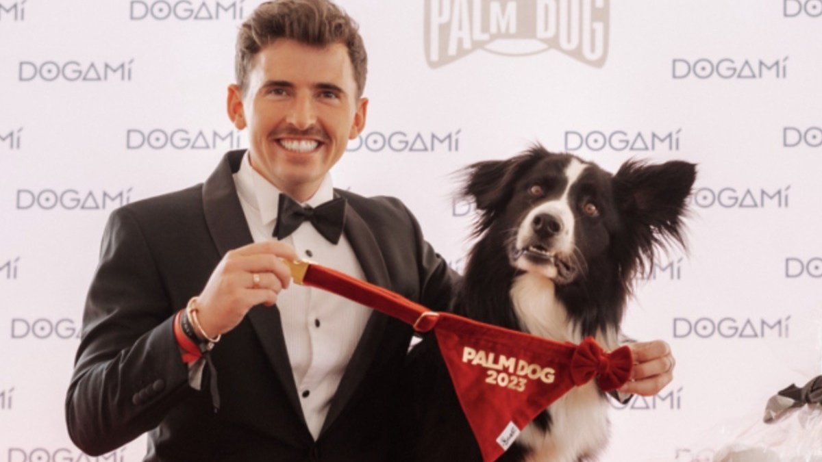 Palm Dog : les chiens aussi ont leur récompense à Cannes !