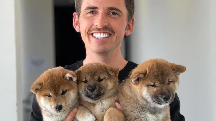 Venir avec son animal au bureau – Yoann Latouche