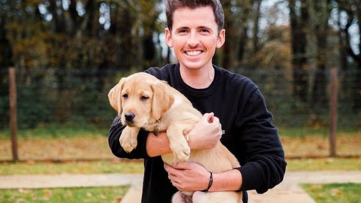 YLG, la plus craquante des agences de communication aux petits soins des animaux