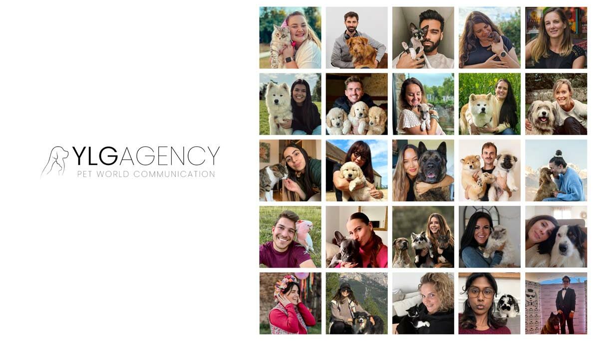 YLG : l’agence de communication dédiée aux amoureux des animaux
