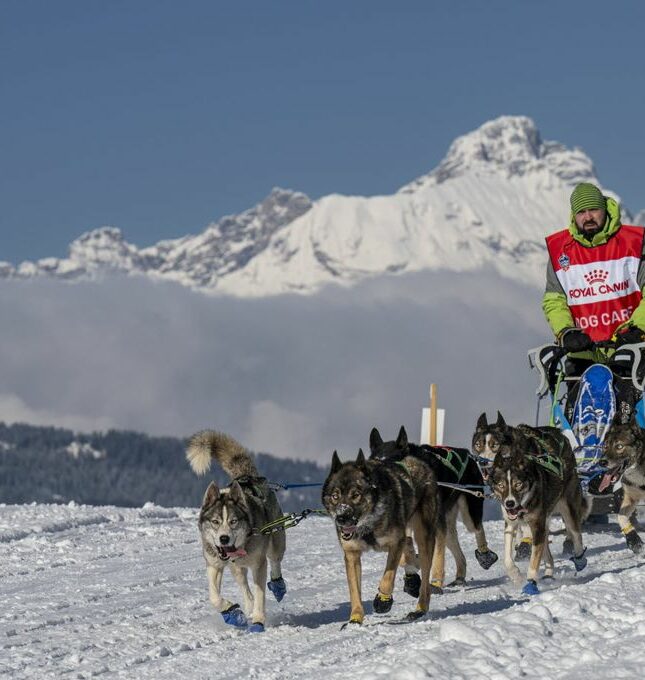L&rsquo;événement de l&rsquo;hiver