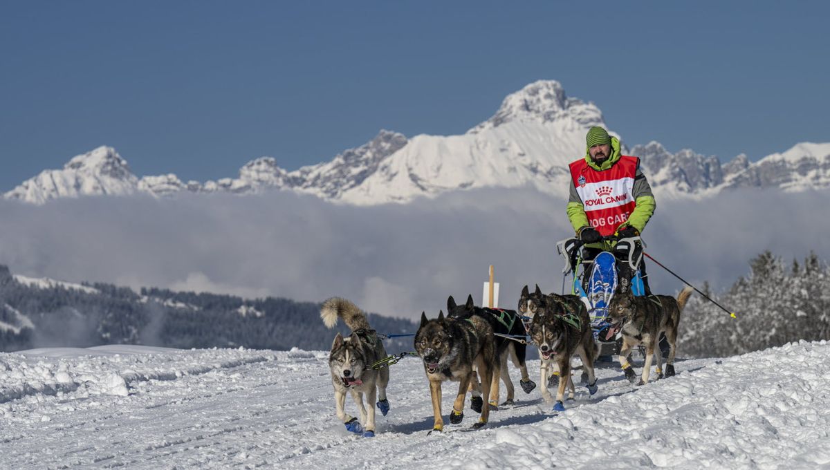L&rsquo;événement de l&rsquo;hiver
