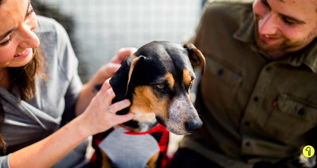 Le chiffre de la semaine