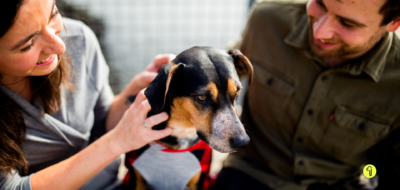 Le chiffre de la semaine